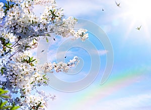 Abstract floral spring background