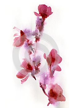 Abstract floral watercolor