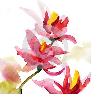 Abstract floral watercolor