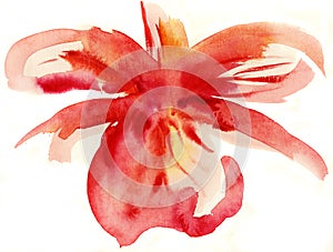 Abstract floral watercolor paintings
