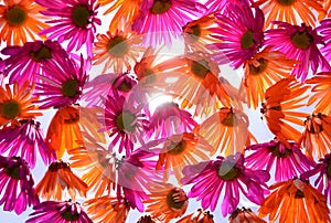 Abstract flower background