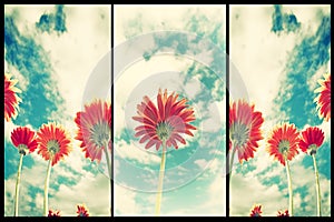 Abstract flower background in vintage style