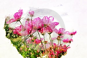 Abstract flower blooming on colorful watercolor painting background.