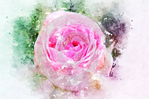 Abstract flower blooming on colorful watercolor painting background.