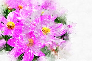 Abstract flower blooming on colorful watercolor painting background.