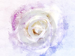 Abstract flower blooming on colorful watercolor painting background.