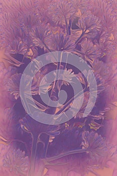 Abstract Flower Fractal Background Illustration Violelt