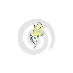 Abstract flower icon on white backdrop