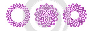 Abstract Flower Icons. Radial Circle Patterns. Design Elements Set