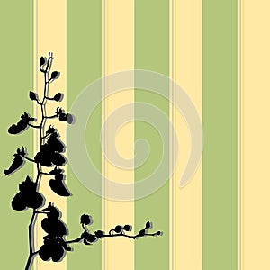 Abstract flower, orchid floral wall sticker, black silhouette on green and yellow stripes