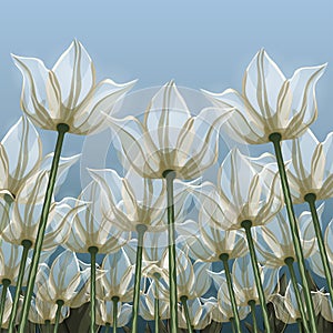 Abstract flowers, bottom view against the blue sky, vector illustration, colorful drawing. Drawn white transparent air buds, petal