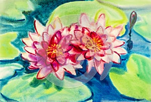 Abstract flowers watercolor original painting colorful of beauty lotus flowers