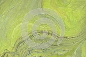 Abstract fluid art background light green and gray colors. Liquid marble. Acrylic painting with olive gradient