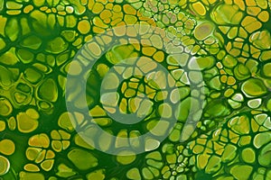 Abstract fluid or liquid art background green and yellow colors. Acrylic painting on canvas. Watercolor backdrop with cells and sp