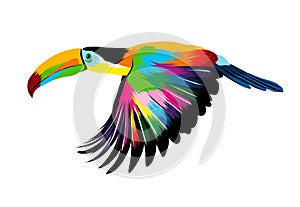 Abstract flying toucan, tropical bird from multicolored paints. Colored drawing