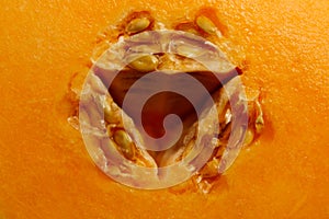 Abstract food background.Orange melon texture, close up.
