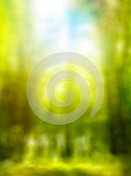Abstract forest spring green background