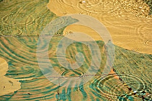 Abstract forms of water in a pond