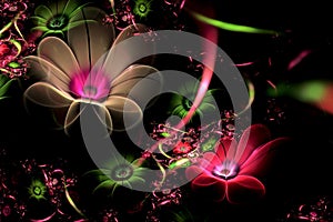 Abstract fractal 3d flowers on a dark background. Multi-colored fractal image