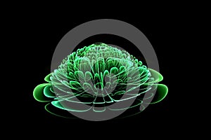 Abstract fractal computer-generated glowing green 3d flowers. Multicolored fractal painting on a black background