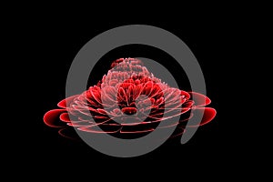 Abstract fractal computer-generated glowing red 3d flowers. Multicolored fractal painting on a black background