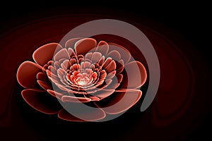 Abstract fractal computer-generated glowing red 3d flowers. Multicolored fractal painting on a black background