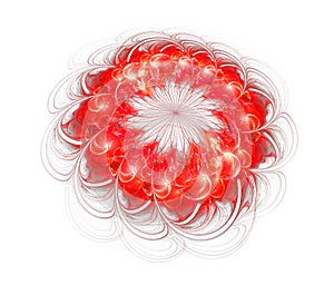 Red flower isolated on white background