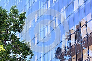 Abstract fragment of contemporary architecture, walls made of glass and concrete.