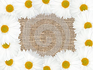 Abstract frame with white flowers