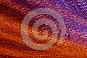 Abstract freezelight background