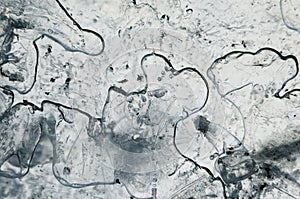 Abstract frosted pattern ice.