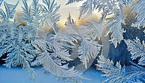 Abstract frosty ice pattern on a window a cold morning