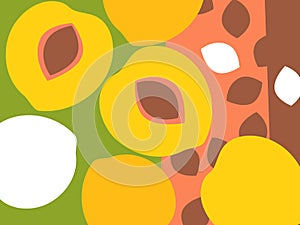 Abstract fruit design in flat cut out style. Peaches and peach pits.