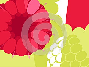 Abstract fruit illustration of raspberries close up.