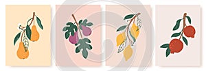 Abstract fruit poster. Modern prints with summer fruits, leaves and flowers. Lemon, pear and fig branches in minimalist