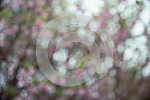 Abstract fuzzy facula background