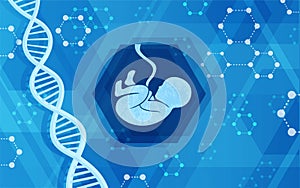 Abstract genetics background with icon of fetus photo
