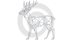 Geometric Deer Outline Art, Low Poly Stag Vector Graphic, Minimalist Forest Animal