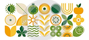 Abstract geometric food pattern. Minimal natural fruit plant simple shape, eco agriculture concept. Vector floral banner