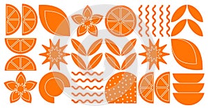 Abstract geometric fruit pattern. Shapes of natural organic flower plants, eco-agriculture citrus. Vector