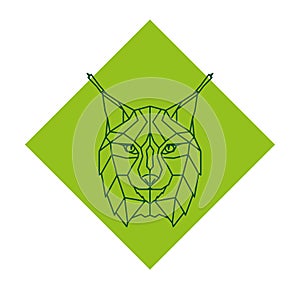 Abstract geometric lynx head logo.
