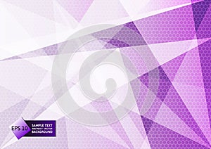 Abstract geometric purple and white color, Modern design background with copy space, Vector illustration eps10