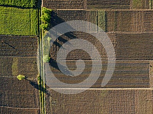 Aerial photo of agro, summer view of green land with fields and gardens.