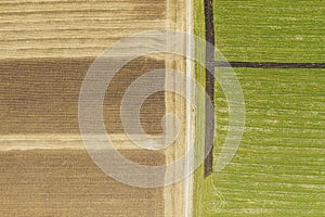 Abstract geometric shapes of agricultural parcels of different crops in yellow and green colors. Aerial view shoot from