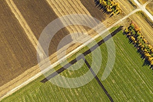 Abstract geometric shapes of agricultural parcels of different crops in yellow and green colors. Aerial view shoot from