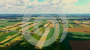 Abstract geometric shapes of agricultural parcels of different crops in yellow and green colors. Aerial view shoot from drone