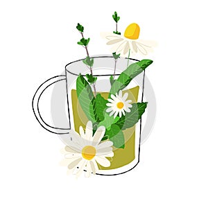 Abstract glass cup illustration with herbal chamomile tea isolated on white background