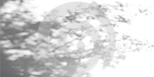 Abstract gobo light texture on concrete background