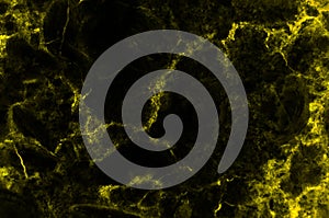 Abstract gold and dark marble texture