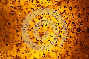 Abstract golden background bubbles rare shapes different